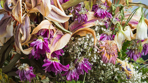 Dead dried flower bouquet close up