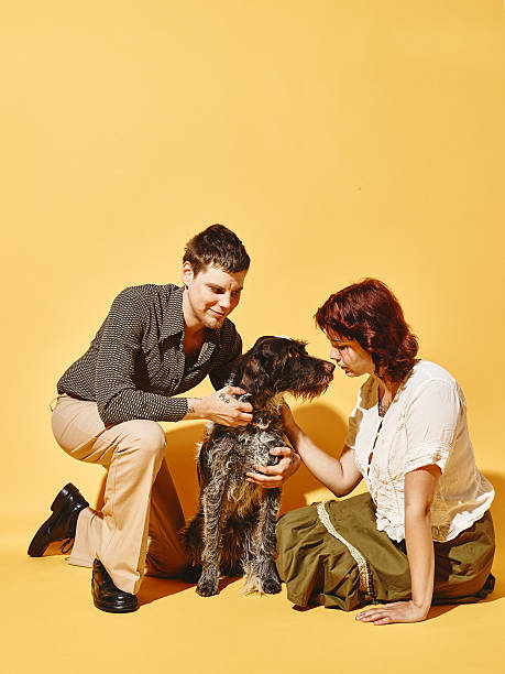 Couple and dog together, 70's look theme Couple and dog together, 70's look theme, yellow background 70s theme stock pictures, royalty-free photos & images