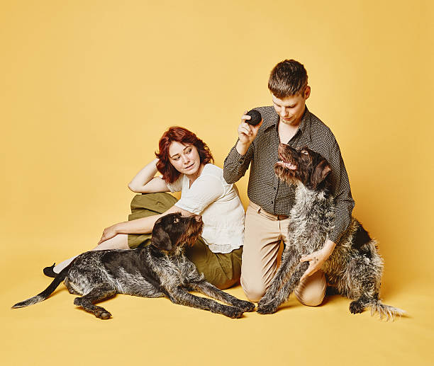 Couple and dog together, 70's look theme Couple and dog together, 70's look theme, yellow background 70s theme stock pictures, royalty-free photos & images