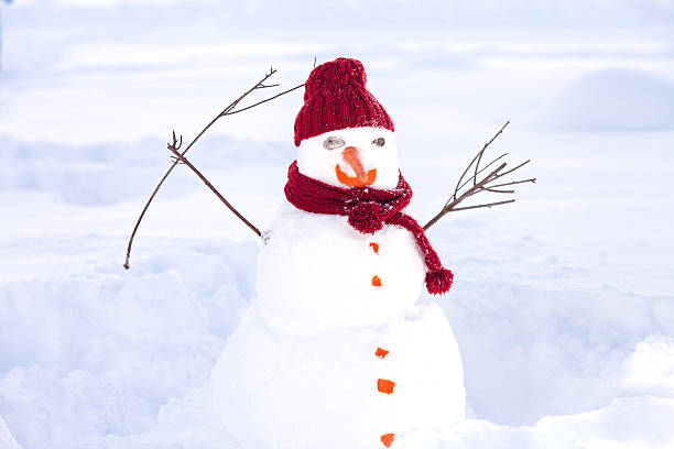 istock Cute snowman in his red outfit and carrot 485889926