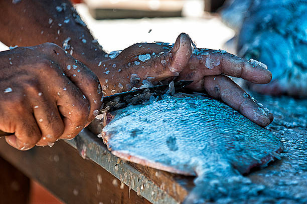 Flaking Fish Flaked Fish Stock Photos, Pictures & Royalty-Free Images - iStock