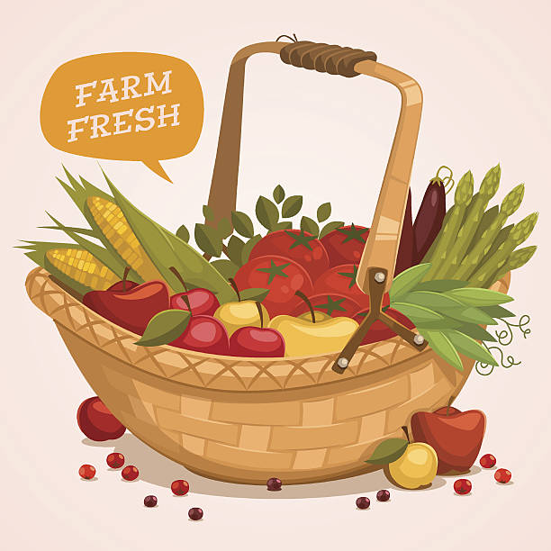 ilustrações, clipart, desenhos animados e ícones de cesta de frutas.  farm fresh. - asparagus vegetable market basket