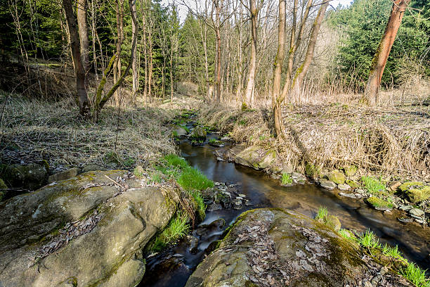 istock Falls on the small mountain river in a wood 485895807