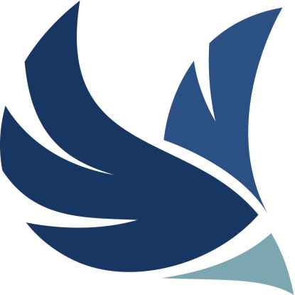 Professional bird logo flying through air mobile application icon brand