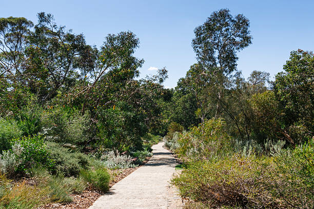 Trail at Kings Park, Perth, Australia.