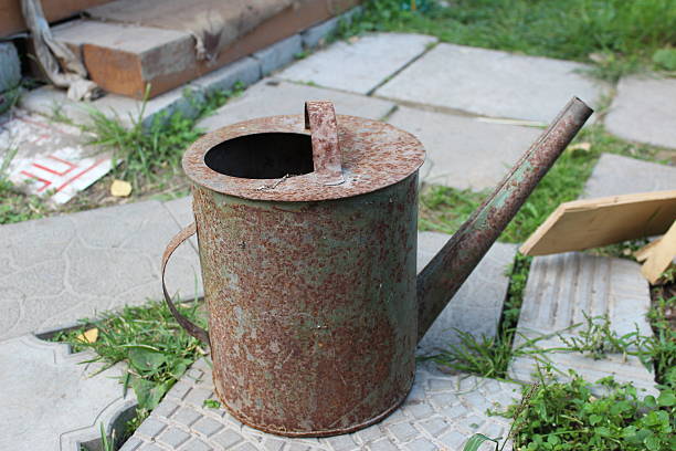 istock Old rusty watering can in the garden 485896340