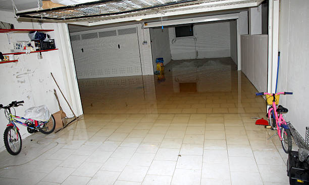 basement garage with high water flooded