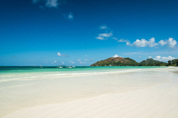 istock abstract beach with turquoise sea 485896985