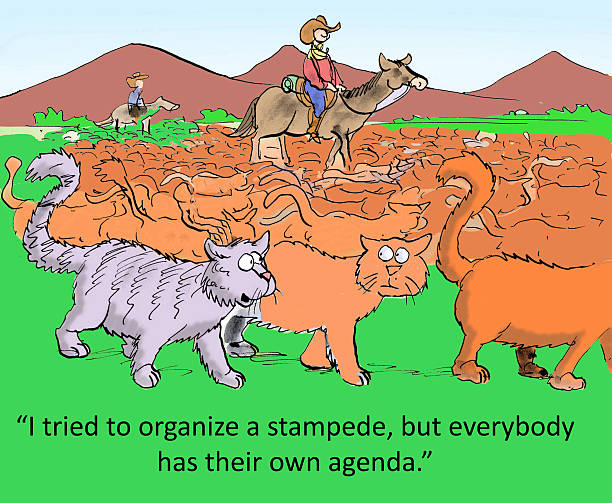 Independent Minds "I tried to organize a stampede, but everyone has their own agenda." stampeding stock illustrations