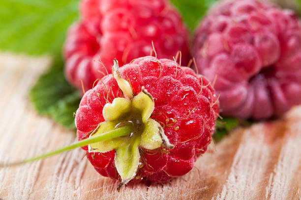 Reife Himbeeren – Foto