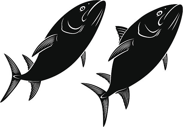 illustrations, cliparts, dessins animés et icônes de thon - tuna spearfishing sea bream illustrated
