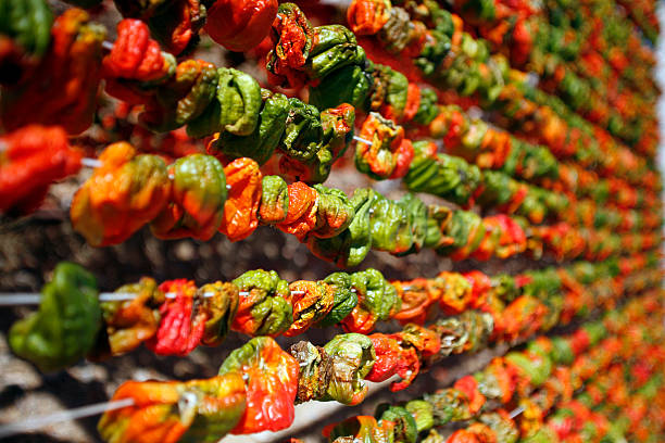 bell peppers secagem - fotografia de stock