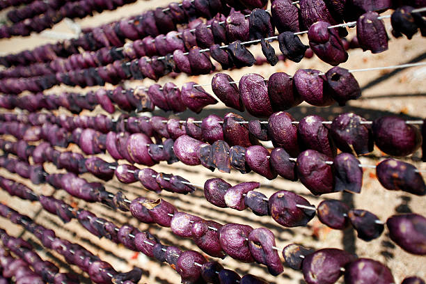 Pimientos secado - foto de stock