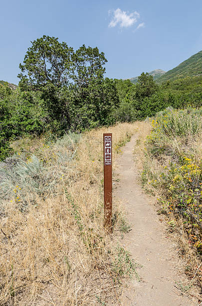 istock Hiking, Biking, and Riding Trail 485901152