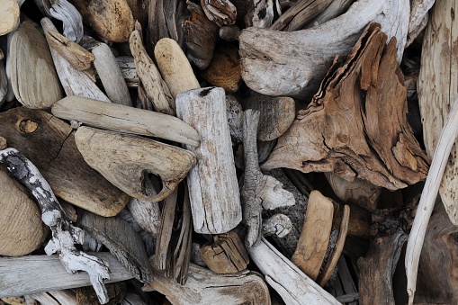 A pile of weathered pieces of driftwood.