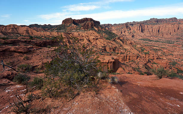 National Park "Sierra de las Quijadas - Argentina National park "Sierra de las Quijadas - San Luis Province - Argentina barron gorge national park stock pictures, royalty-free photos & images