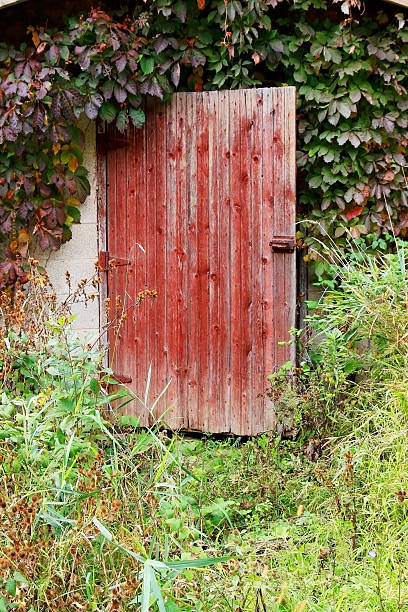 istock Old wooden red door 485907754