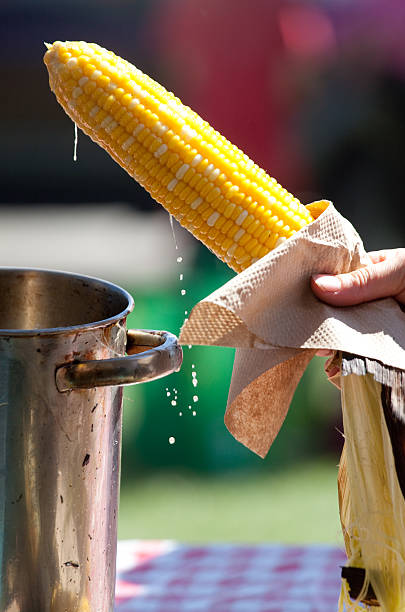 A corn cob dripping in hot butter at a farmer's market. Perfect corn! Delicious and tasty sweet organic corn is a highlight at many farmer's markets throughout North America. Many amusument parks, fairs, and outdoor markets offer the tasty treat. Closeup is on the corn with the butter dripping off the bright yellow corn. Additional themes include vegetables, hot, corn cobs, produce, market, saturated, fat, calories, food, raw food, pot, butter, dairy, and saturated fat.