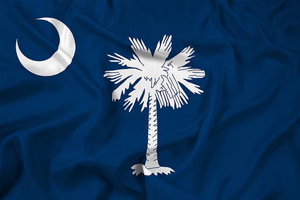 istock Waving South Carolina State Flag 485922883