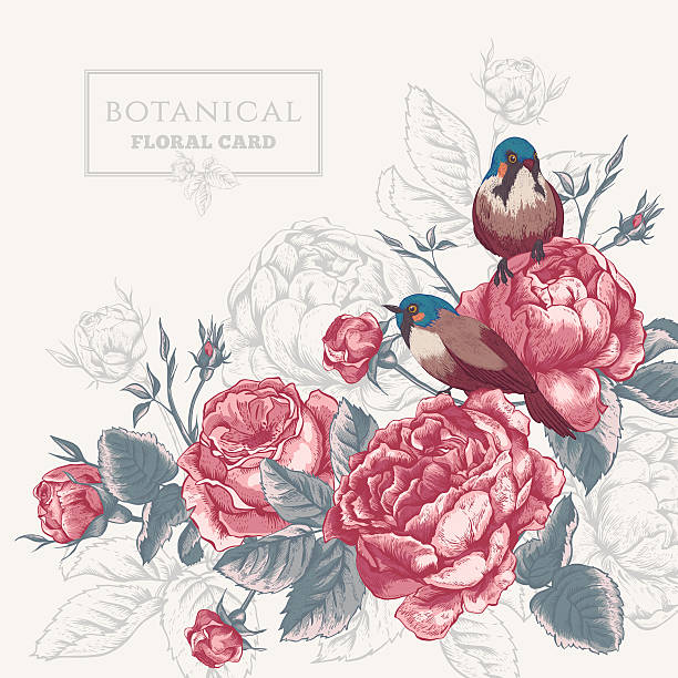 bildbanksillustrationer, clip art samt tecknat material och ikoner med botanical floral card with roses and birds - skräpig trädgård