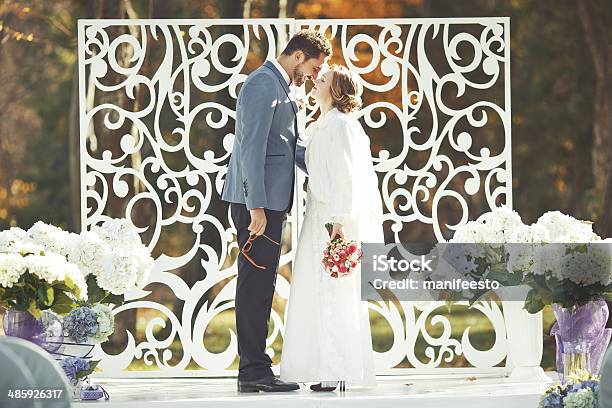 Groom And Bride On Wedding Day Stock Photo - Download Image Now - Adult, Beautiful People, Beauty