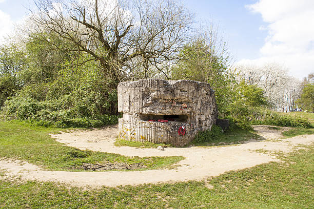 istock WW1 Hill 60 Bunker in the trench Belgium world war. 485927087