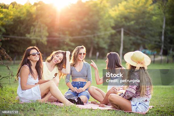 Happy Sunny Days Stock Photo - Download Image Now - Friendship, Picnic, 2015