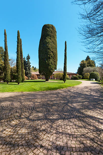 istock park of a villa 485928526