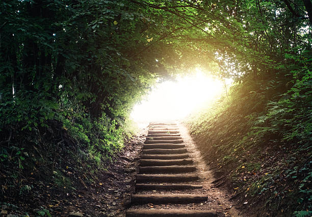Forest Path Staircase leading through the forest. Light at the end of the tunnel. light at the end of the tunnel photos stock pictures, royalty-free photos & images