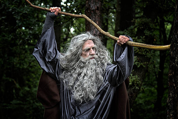 istock Mature man in costume in a forest 485936636