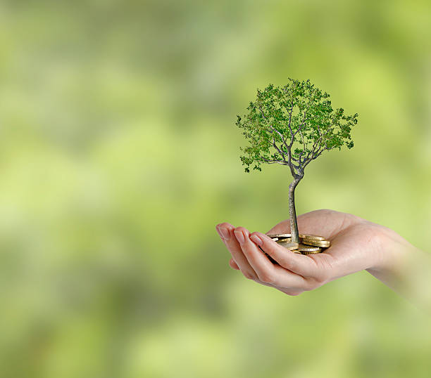 istock Investing to green business 485942704