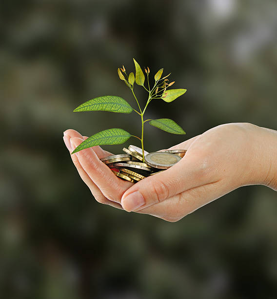 istock Investing to green business 485942714