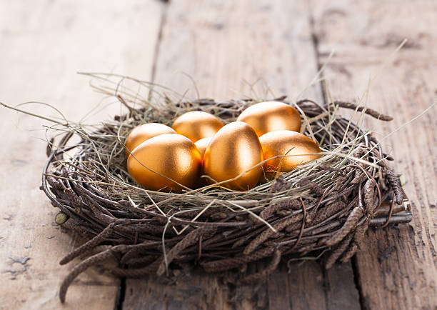 ovos de ouro - wealth eggs animal egg easter egg imagens e fotografias de stock
