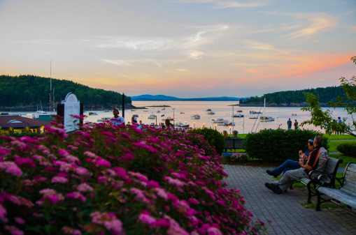 Bar Harbor, USA - July 13, 2013: People in a park looking at the sunset in Bar Harbor, Maine, with flowers in foreground and sailboat and sunset in backgroung
