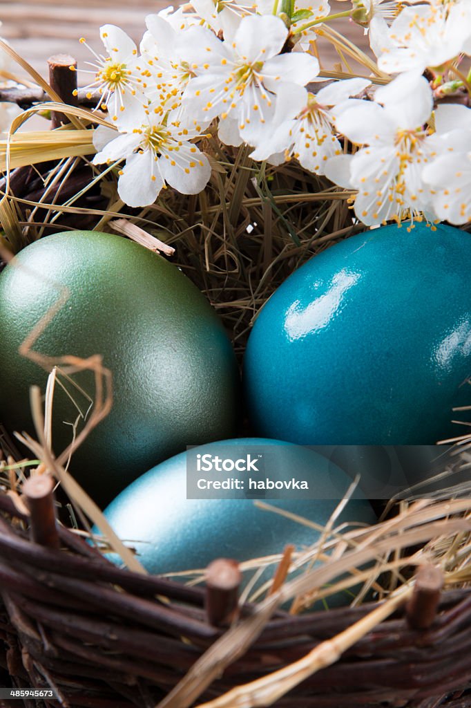 Easter concept. Blue easter eggs with flower on wood. Spring concepr. Animal Markings Stock Photo
