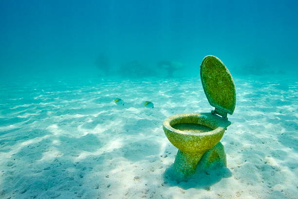 WC toilet on the bottom of  Red Sea, Egypt WC toilet on the bottom of  Red Sea, Egypt taba stock pictures, royalty-free photos & images