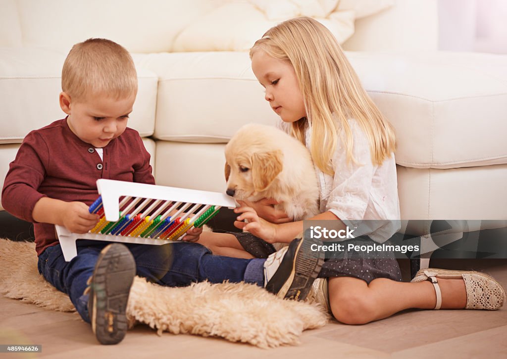 They love together, they play together A brother and sister playing with their puppy at homehttp://195.154.178.81/DATA/i_collage/pi/shoots/783676.jpg 2015 Stock Photo