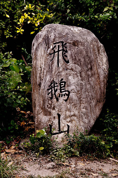 istock Kowloon Peak, Fei Ngo Shan 485947051