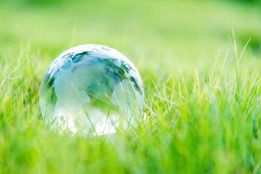 Glass globe on green grass.
