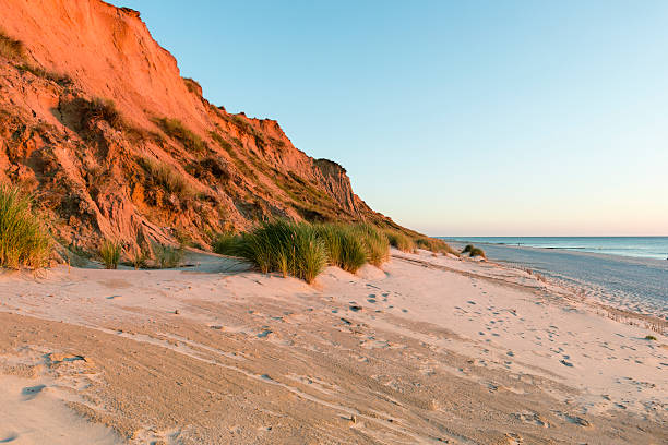Red cliff on Sylt in Germany. Sunset stock photo