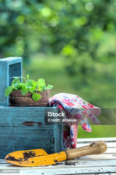 Gardening Tools In A Blue Wooden Tool Box Stock Photo - Download Image Now - Agriculture, Blue, Botany