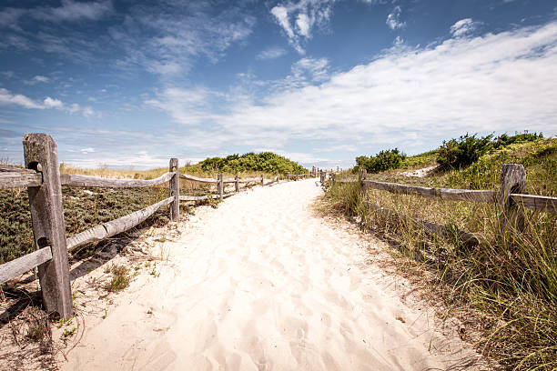 istock Entrance to the beach with fenced sides 485951864