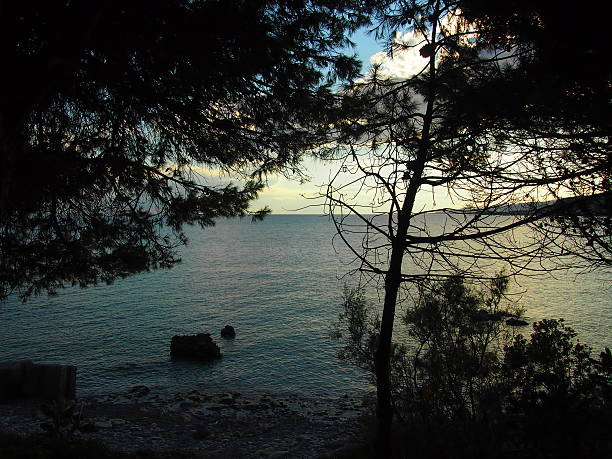 istock sunsets between the trees and the sea 485953700