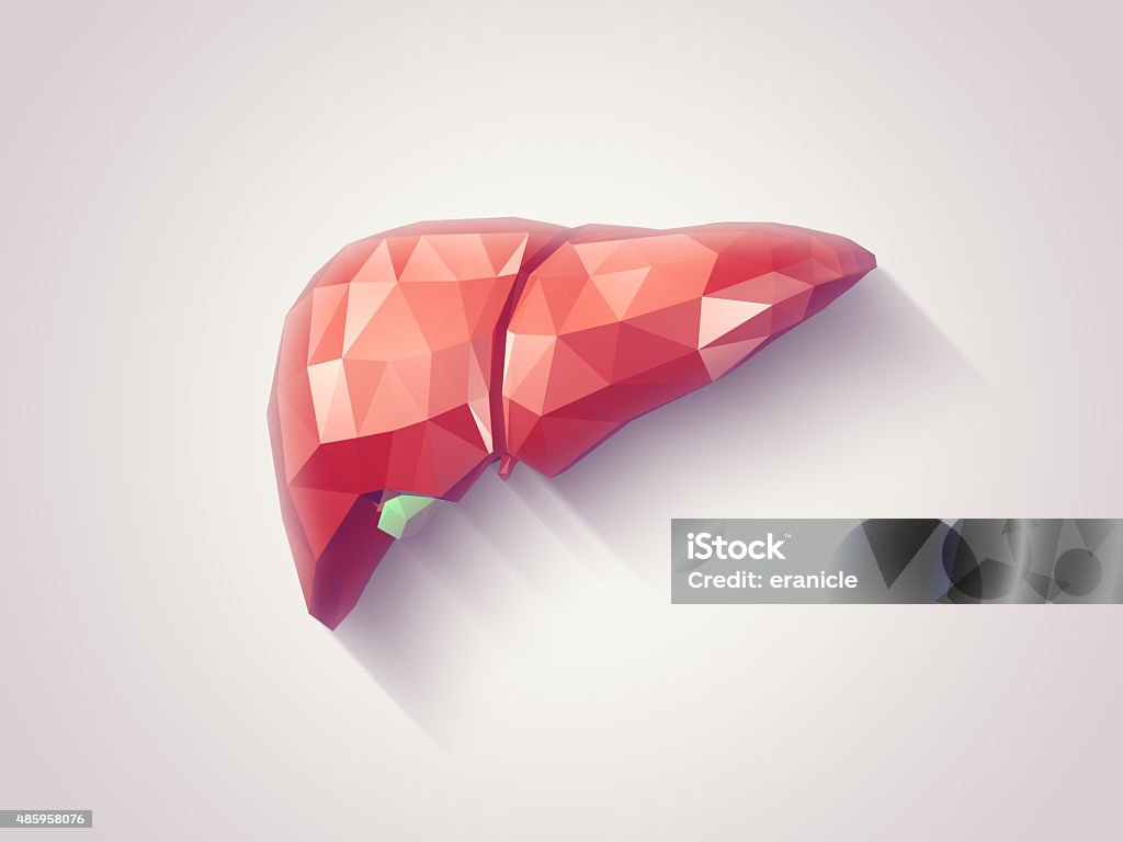 Liver faceted Illustration of human liver with faceted low-poly geometry effect Three Dimensional Stock Photo