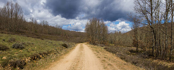 pista de mountain bike no monte oaks-camino con robles - con trail - fotografias e filmes do acervo