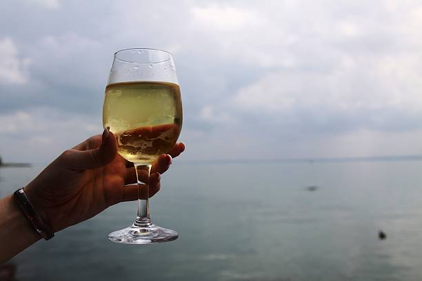 istock Glass of wine 485963114