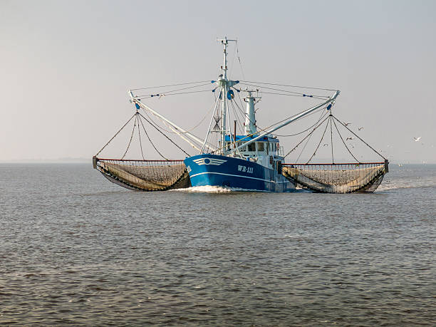 At Sea, Wadden Sea, Netherlands - September 17, 2014: Fishing shrimp trawler pulling nets through the water. 