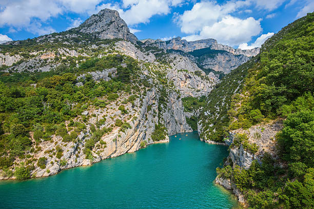 le canyon du verdon rétrécies tige - mercantour national park photos et images de collection