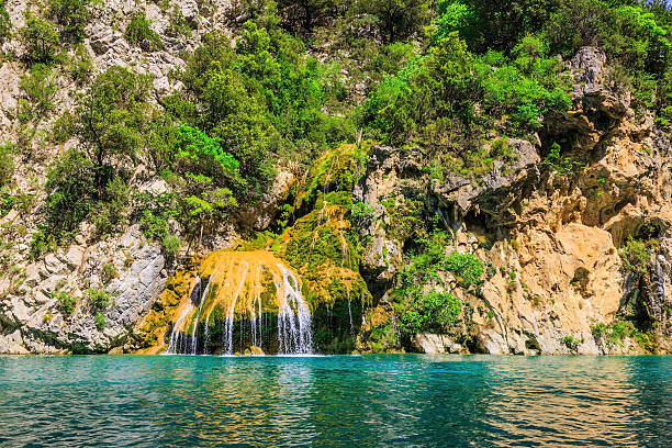 le canyon du verdon rétrécies tige - mercantour national park photos et images de collection