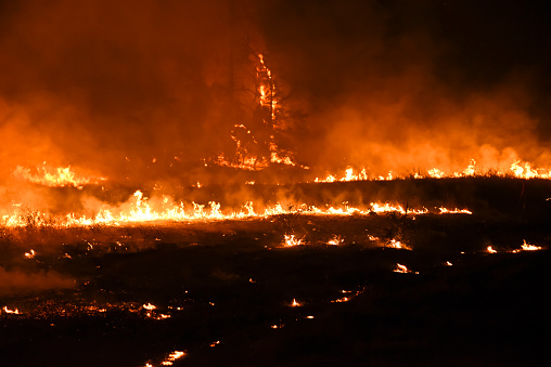 A burnt out meadow and wildfire in northern California.  August of 2015.